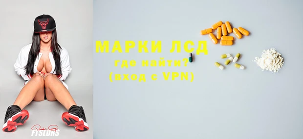 прущие грибы Магадан