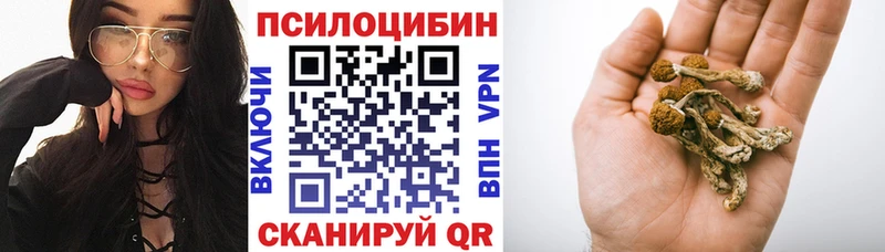 Псилоцибиновые грибы мицелий Набережные Челны